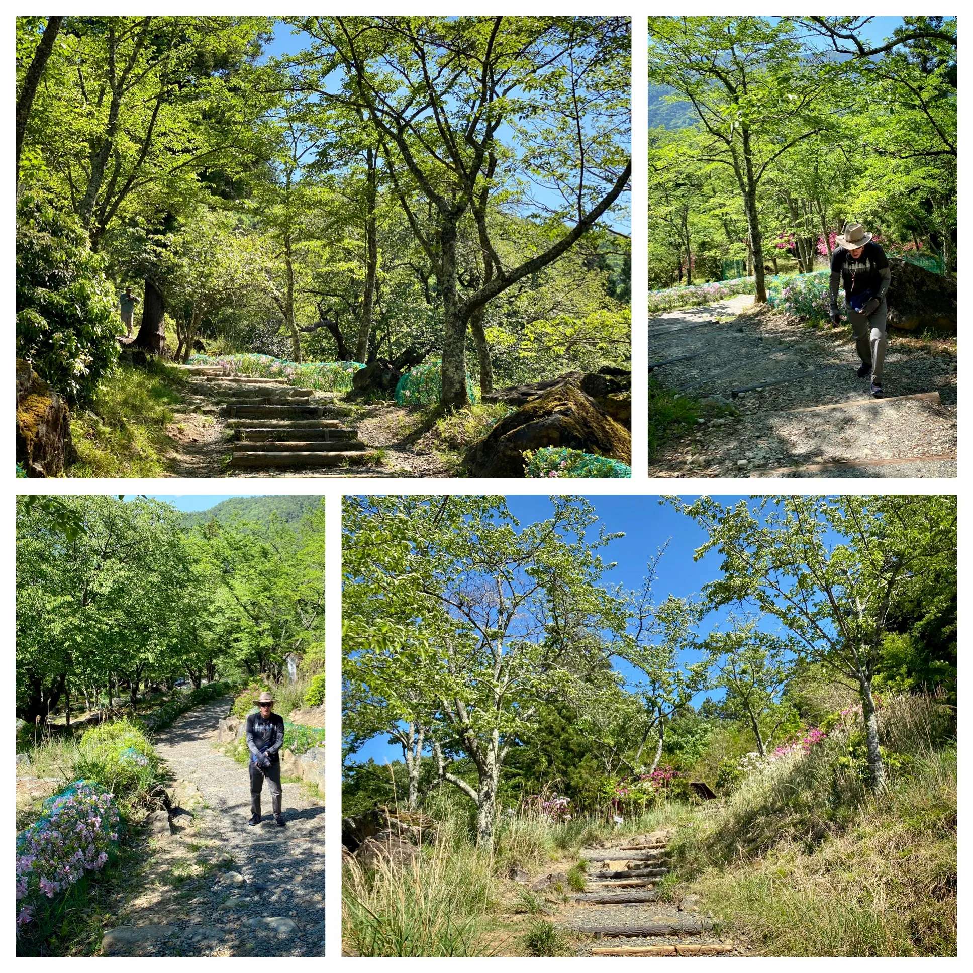 🏯 다케다 성터(다케다조세키) 이미지 5